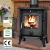 5KW Multi-Fuel Stove Wood Burner Effect Fireplace